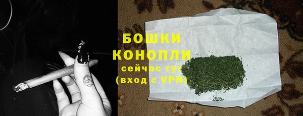 гашик Заводоуковск