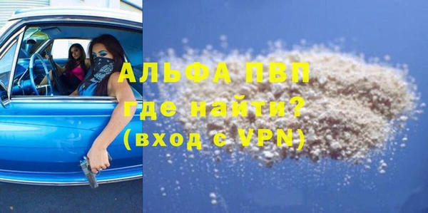 прущие грибы Елизово