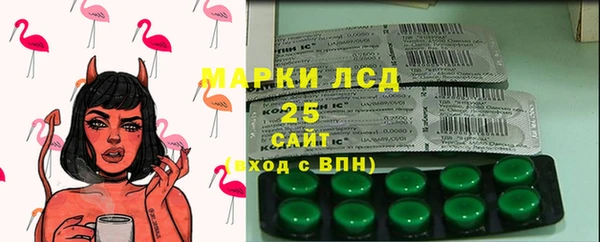 гашик Заводоуковск